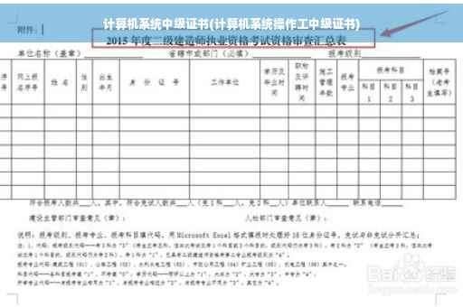 计算机系统中级证书(计算机系统操作工中级证书)