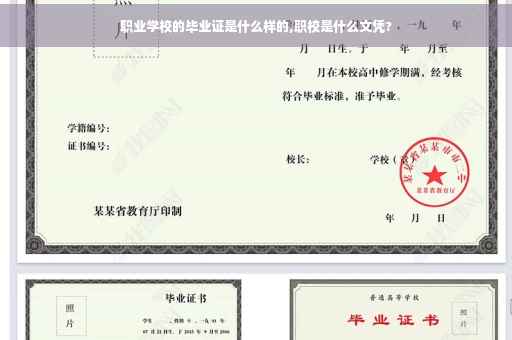 职业学校的毕业证是什么样的,职校是什么文凭?