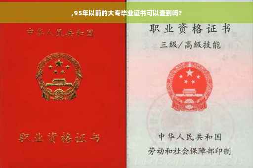 ,95年以前的大专毕业证书可以查到吗?