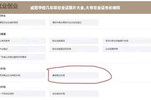 咸阳学校几年级毕业证图片大全,大专毕业证书长啥样 咸阳学校几年级毕业证图片大全,大专毕业证书长啥样