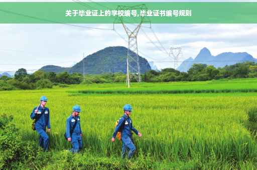 关于毕业证上的学校编号,毕业证书编号规则