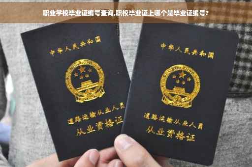 职业学校毕业证编号查询,职校毕业证上哪个是毕业证编号?