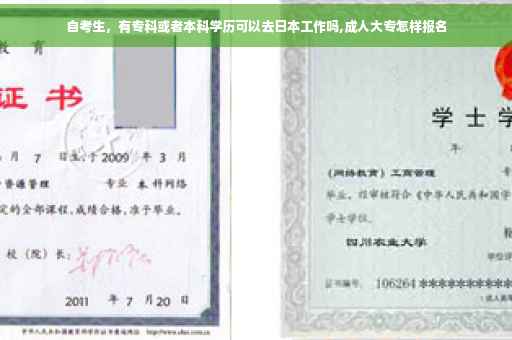 自考生，有专科或者本科学历可以去日本工作吗,成人大专怎样报名
