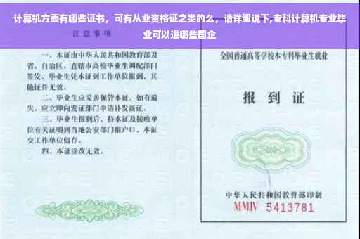 计算机方面有哪些证书，可有从业资格证之类的么，请详细说下,专科计算机专业毕业可以进哪些国企