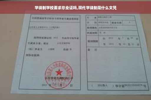 学徒制学校要求毕业证吗,现代学徒制是什么文凭