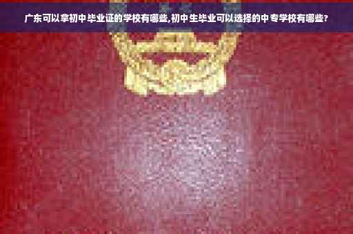 广东可以拿初中毕业证的学校有哪些,初中生毕业可以选择的中专学校有哪些?
