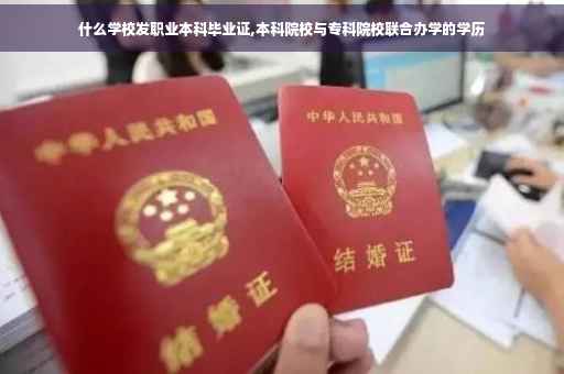 什么学校发职业本科毕业证,本科院校与专科院校联合办学的学历