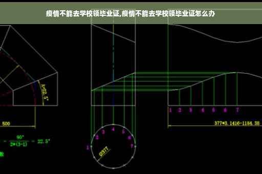 疫情不能去学校领毕业证,疫情不能去学校领毕业证怎么办