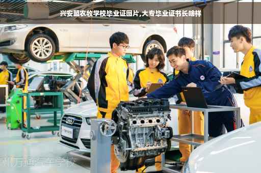 兴安盟农牧学校毕业证图片,大专毕业证书长啥样