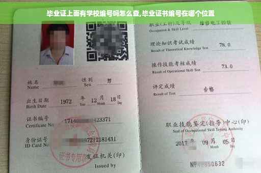 毕业证上面有学校编号吗怎么查,毕业证书编号在哪个位置