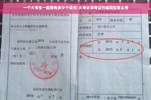 一个大专生一般拥有多少个证书-大专必须考证书嘛现在怎么考