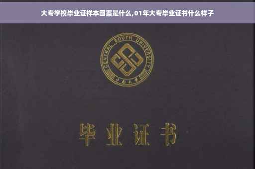 大专学校毕业证样本图案是什么,01年大专毕业证书什么样子