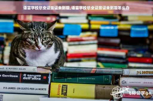 语言学校毕业证签证未到期,语言学校毕业证签证未到期怎么办 语言学校毕业证签证未到期,语言学校毕业证签证未到期怎么办