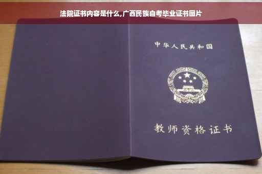 法院证书内容是什么,广西民族自考毕业证书图片