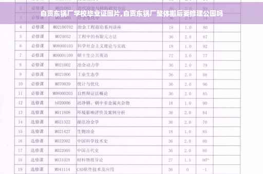 自贡东锅厂学校毕业证图片,自贡东锅厂整体搬后要修建公园吗