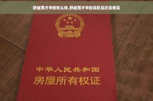 舒城育才学校怎么样,舒城育才学校是职高还是普高