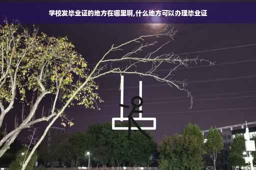 学校发毕业证的地方在哪里啊,什么地方可以办理毕业证