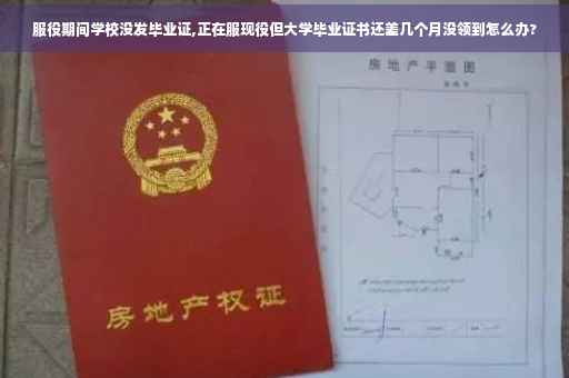 服役期间学校没发毕业证,正在服现役但大学毕业证书还差几个月没领到怎么办?