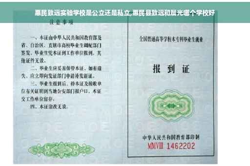 惠民致远实验学校是公立还是私立,惠民县致远和晨光哪个学校好