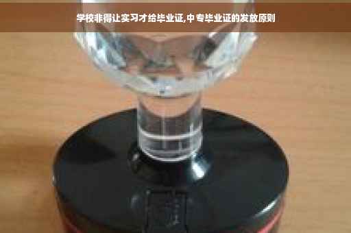 学校非得让实习才给毕业证,中专毕业证的发放原则