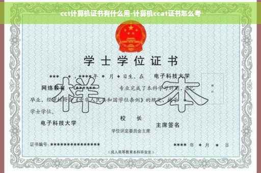 cct计算机证书有什么用-计算机ccat证书怎么考