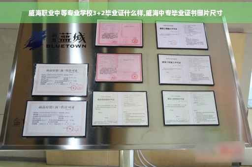 威海职业中等专业学校3+2毕业证什么样,威海中专毕业证书图片尺寸