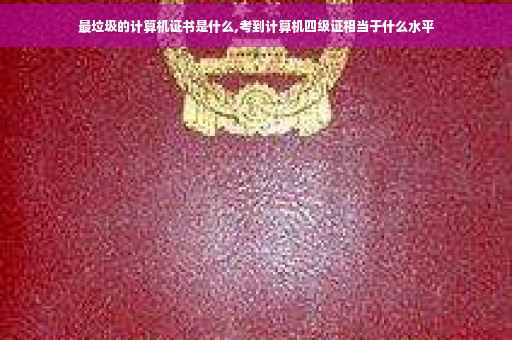 最垃圾的计算机证书是什么,考到计算机四级证相当于什么水平 最垃圾的计算机证书是什么,考到计算机四级证相当于什么水平