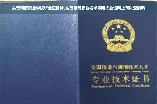 东莞南博职业学校毕业证图片,东莞南博职业技术学院毕业证网上可以查到吗