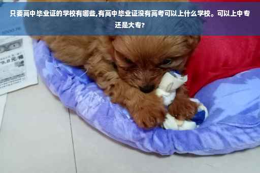只要高中毕业证的学校有哪些,有高中毕业证没有高考可以上什么学校。可以上中专还是大专?