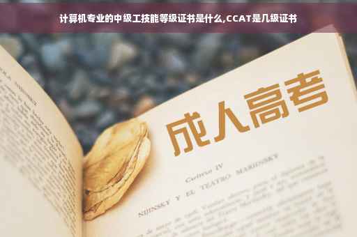 计算机专业的中级工技能等级证书是什么,CCAT是几级证书