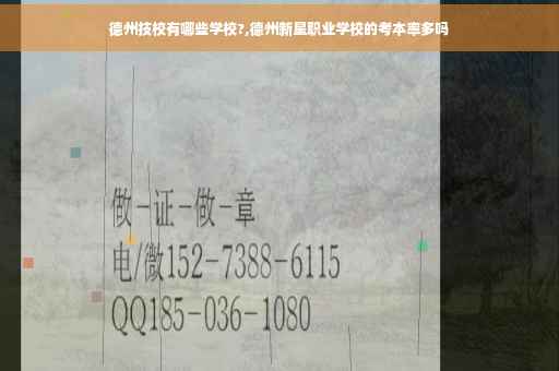 德州技校有哪些学校?,德州新星职业学校的考本率多吗