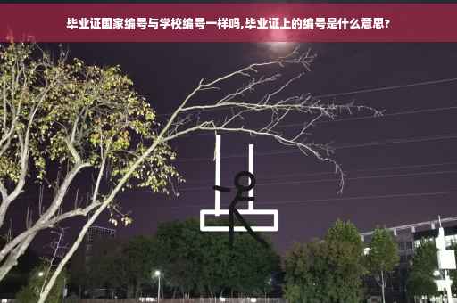毕业证国家编号与学校编号一样吗,毕业证上的编号是什么意思?
