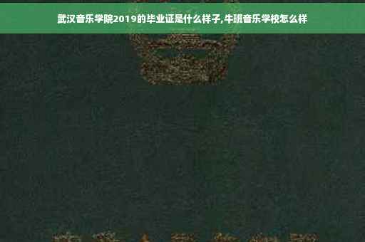 武汉音乐学院2019的毕业证是什么样子,牛班音乐学校怎么样