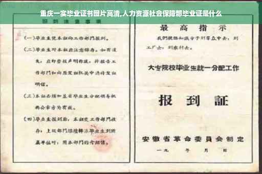 重庆一实毕业证书图片高清,人力资源社会保障部毕业证是什么