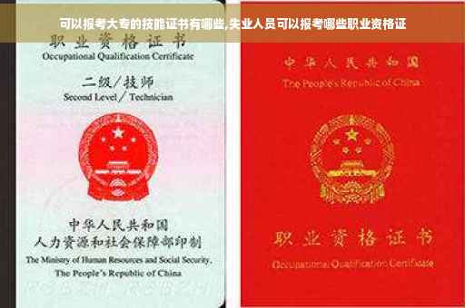 可以报考大专的技能证书有哪些,失业人员可以报考哪些职业资格证