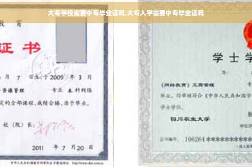 大专学校需要中专毕业证吗,大专入学需要中专毕业证吗