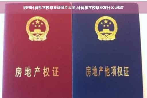 郴州计算机学校毕业证图片大全,计算机学校毕业发什么证呢?