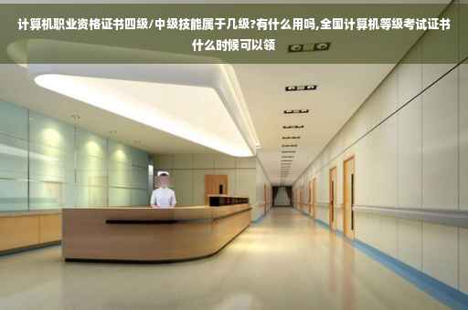计算机职业资格证书四级/中级技能属于几级?有什么用吗,全国计算机等级考试证书什么时候可以领