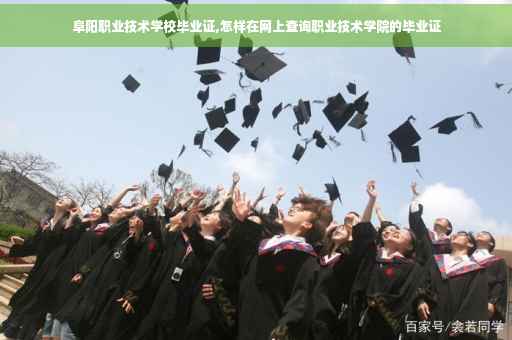 阜阳职业技术学校毕业证,怎样在网上查询职业技术学院的毕业证