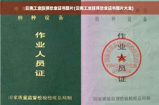 云南工业技师毕业证书图片(云南工业技师毕业证书图片大全)
