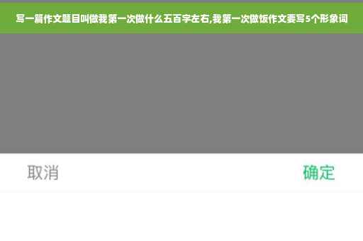 写一篇作文题目叫做我第一次做什么五百字左右,我第一次做饭作文要写5个形象词