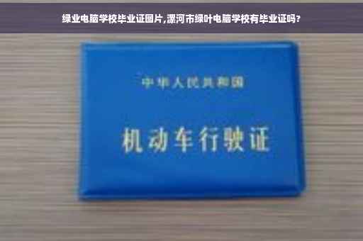 绿业电脑学校毕业证图片,漯河市绿叶电脑学校有毕业证吗?