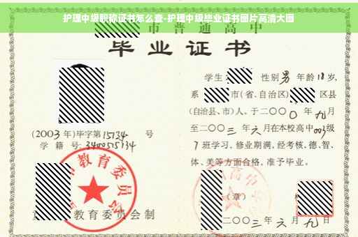 护理中级职称证书怎么查-护理中级毕业证书图片高清大图
