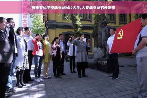 苏州专科学校毕业证图片大全,大专毕业证书长啥样