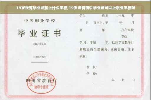 19岁没有毕业证能上什么学校,19岁没有初中毕业证可以上职业学校吗