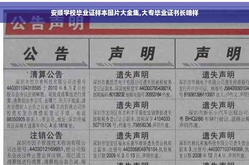 安顺学校毕业证样本图片大全集,大专毕业证书长啥样