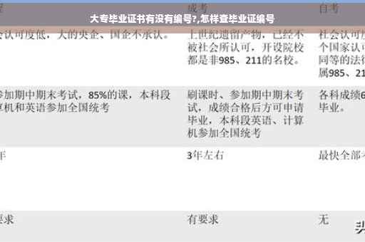大专毕业证书有没有编号?,怎样查毕业证编号