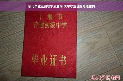 忘记毕业证编号怎么查询,大学毕业证编号谁给的
