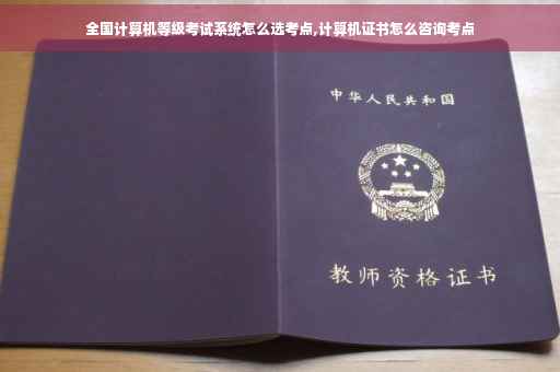 全国计算机等级考试系统怎么选考点,计算机证书怎么咨询考点