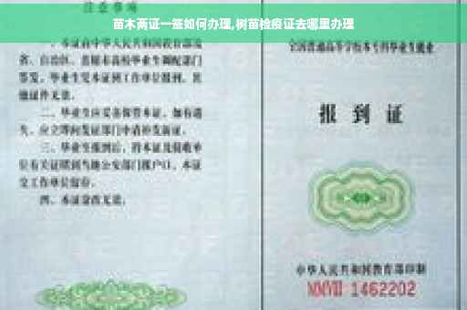 苗木两证一签如何办理,树苗检疫证去哪里办理